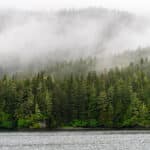 Tongass National Forest