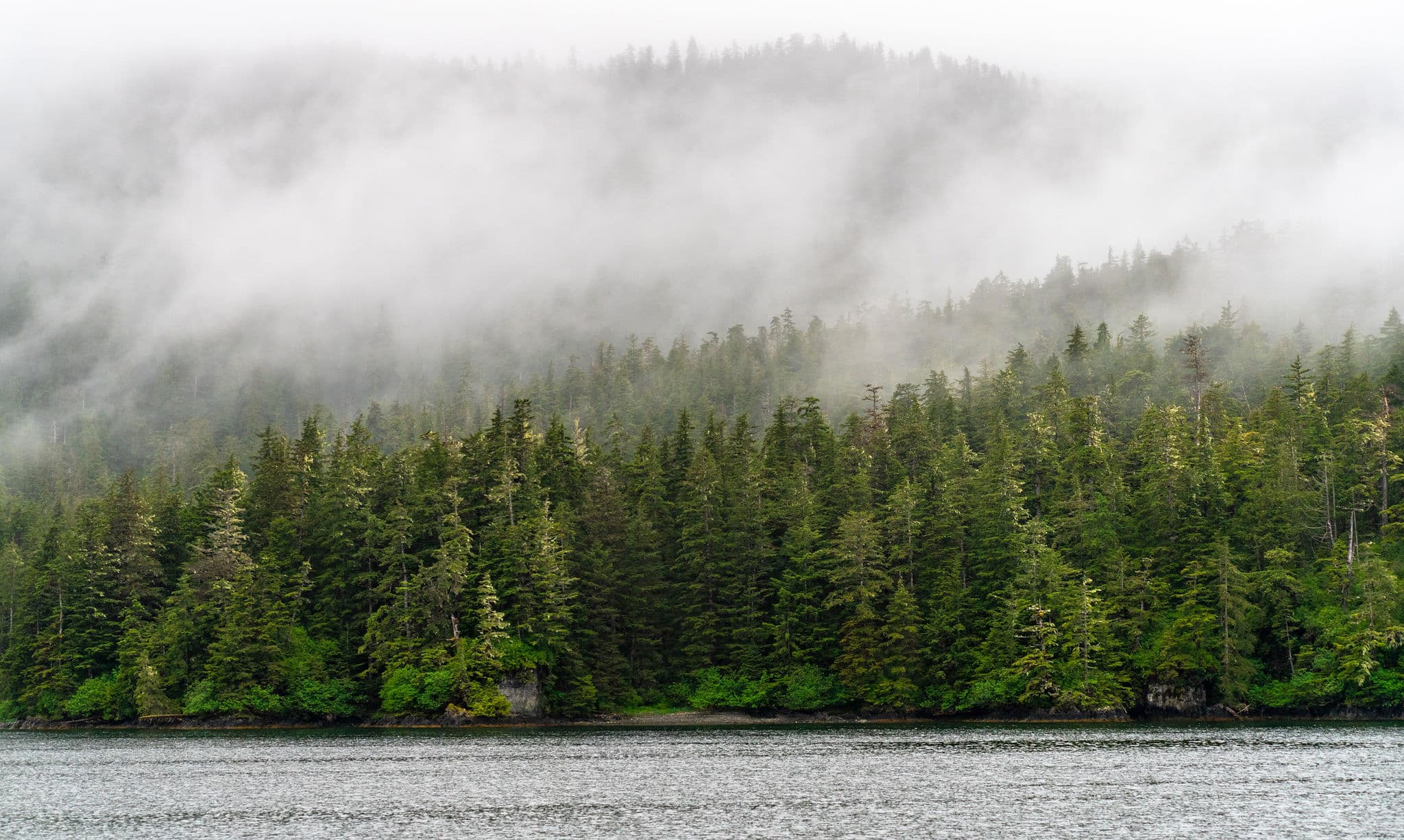 The Boat Company Submits Public Comment Letter on the Roadless Rule Repeal Proposal