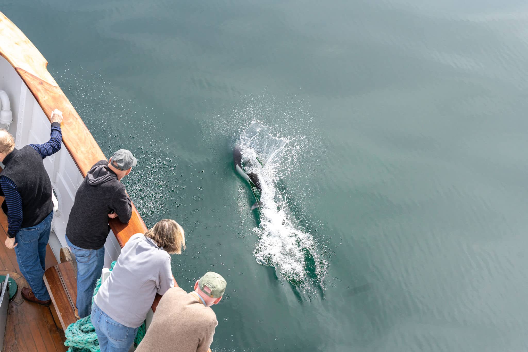 Day 3 - Coastal Adventures - The Boat Company Alaska Small Ship Cruise Line