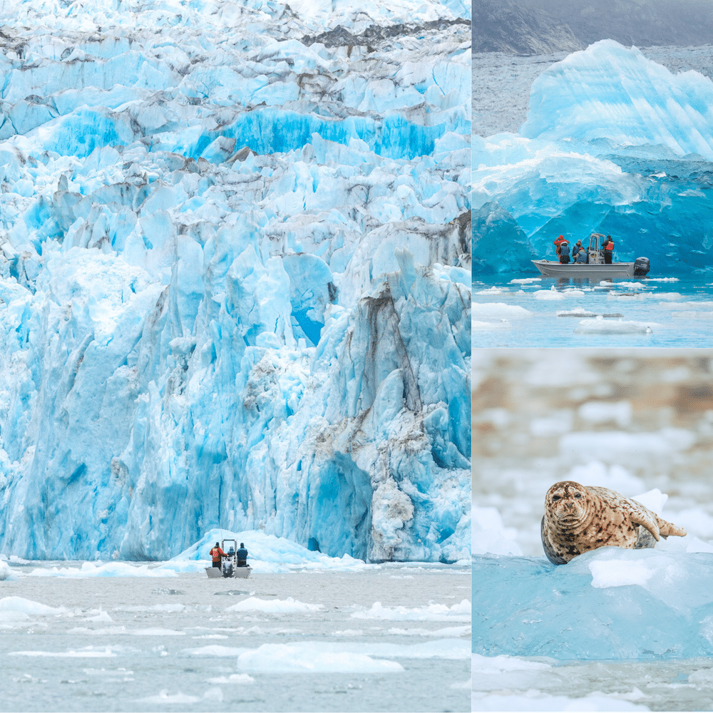 Alaska Most Unique Cruise Line - Glacial Expedition