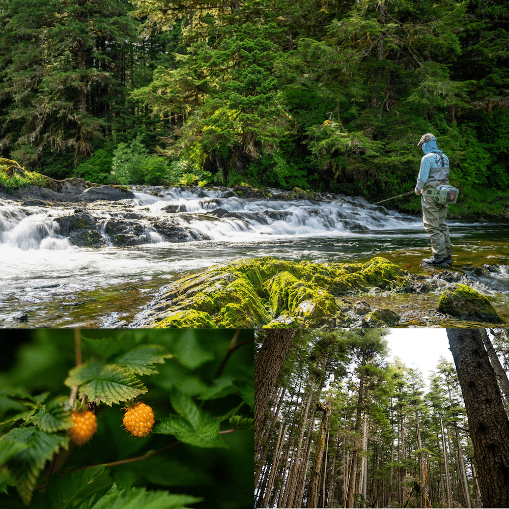 Alaska Most Unique Cruise Line - Lake Eva
